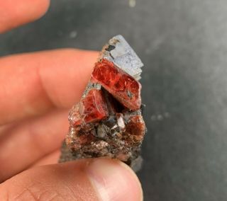 Rhodonite Garnets On Galena Crystals: Broken Hill.  South Wales,  Australia