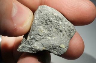 Saricicek (Bingol) Howardite meteorite from Vesta 16.  8g fragment 60/65 crust 10