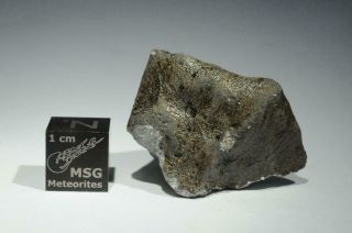 Saricicek (bingol) Howardite Meteorite From Vesta 16.  8g Fragment 60/65 Crust