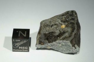 Saricicek (Bingol) Howardite meteorite from Vesta 16.  8g fragment 60/65 crust 2