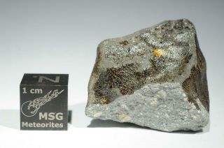 Saricicek (Bingol) Howardite meteorite from Vesta 16.  8g fragment 60/65 crust 3