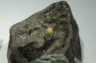 Saricicek (Bingol) Howardite meteorite from Vesta 16.  8g fragment 60/65 crust 4