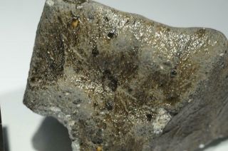 Saricicek (Bingol) Howardite meteorite from Vesta 16.  8g fragment 60/65 crust 5