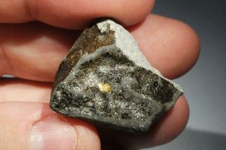 Saricicek (Bingol) Howardite meteorite from Vesta 16.  8g fragment 60/65 crust 9