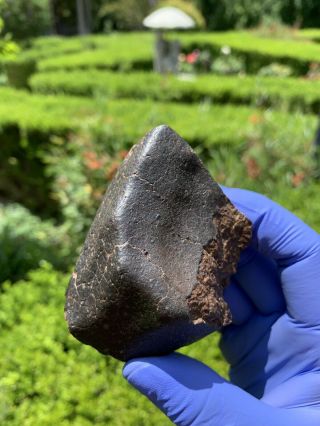 Meteorite Nwa,  Unclassified 283.  17 Grams,  Fusion Crust
