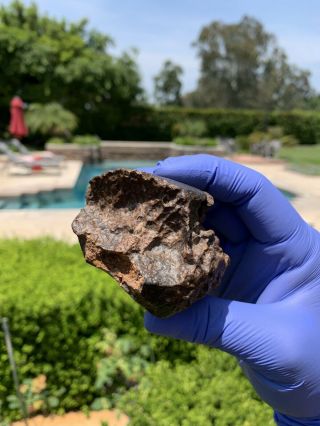 Meteorite NWA,  Unclassified 283.  17 Grams,  Fusion Crust 3