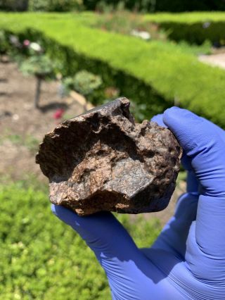 Meteorite NWA,  Unclassified 283.  17 Grams,  Fusion Crust 4