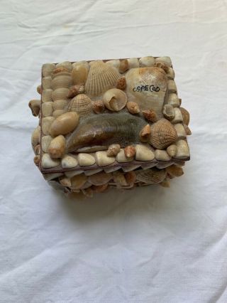 Handmade Vtg Seashell Shell Trinket Box Red Felt Cape Cod Souvenir
