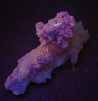 - Pale Pink Rhodochrosite Fluorite & Quartz crystals,  mine Romania 2