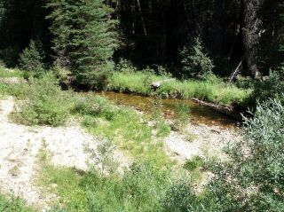 Productive 20 Acre Placer Mining Claim On Crooked Creek,  Near Dixie Idaho