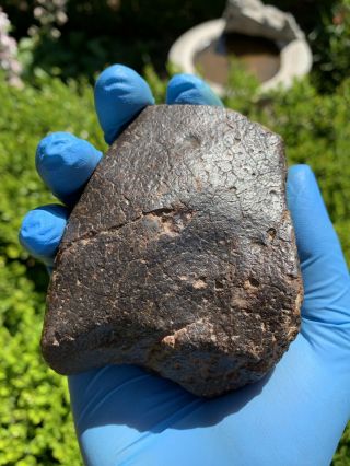 Meteorite Nwa,  Unclassified 542.  20 Grams,  Fresh Fusion Crust