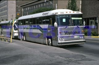 Voyageur Bus Slide: 1482 Mci In Toronto (1987)