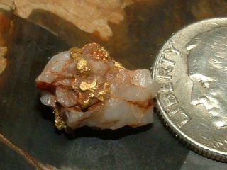 Gold Quartz Specimen 1.  5 Gram Natural Gold In Quartz California Red