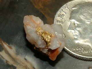 GOLD QUARTZ SPECIMEN 1.  5 GRAM NATURAL GOLD IN QUARTZ CALIFORNIA RED 3