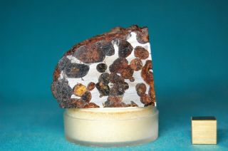 Sericho Pallasite Meteorite 114.  7 Grams