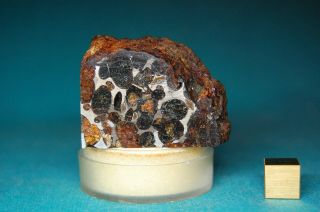Sericho Pallasite meteorite 114.  7 grams 2