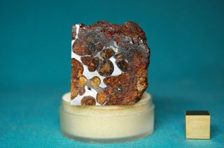 Sericho Pallasite meteorite 114.  7 grams 3