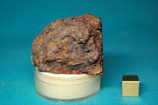 Sericho Pallasite meteorite 114.  7 grams 4