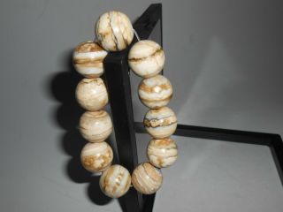 Fossil WOOLLY MAMMOTH TOOTH molar Round Bead Stretch Bracelet 20mm 3