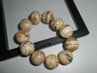 Fossil WOOLLY MAMMOTH TOOTH molar Round Bead Stretch Bracelet 20mm 4