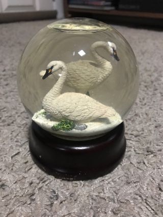 Rare Vtg Nordstrom Tundra Swan Snow Globe Christmas Holiday Cygnus Columbianus