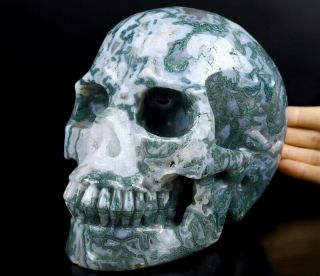 Lifesized 7.  0 " Green Moss Agate Carved Crystal Skull,  Realistic,  Healing