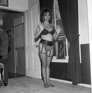1960s Fred Enke Negative,  Voluptuous Pin - Up Girl Sue Walter In Lingerie,  T233082
