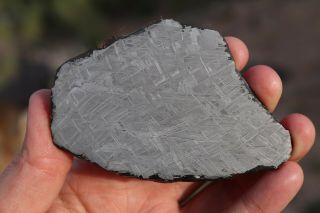 Muonionalusta Meteorite Etched Full Slice 102.  7 Grams