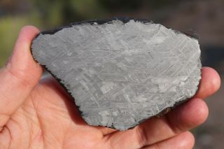 Muonionalusta meteorite etched full slice 102.  7 grams 2
