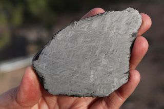 Muonionalusta meteorite etched full slice 102.  7 grams 3
