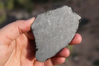 Muonionalusta meteorite etched full slice 102.  7 grams 4