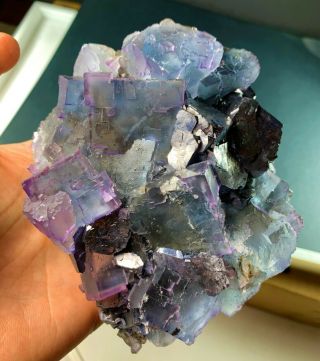 Blue & Purple Fluorite On Galena Crystals: Cave In Rock.  Hardin Co. ,  Illinois