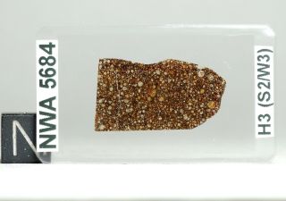 Meteorite Nwa 5684 - H3 Chondrite Thin Section Microscope Slide