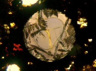 Meteorite NWA 5684 - H3 Chondrite Thin Section microscope slide 4