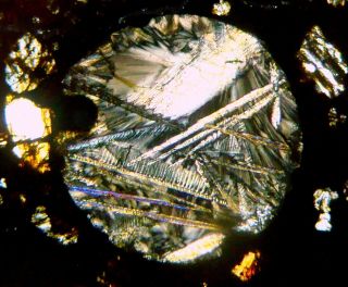Meteorite NWA 5684 - H3 Chondrite Thin Section microscope slide 5
