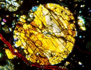 Meteorite NWA 5684 - H3 Chondrite Thin Section microscope slide 6