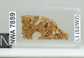 Meteorite Nwa 7859 - L3 Chondrite Thin Section Microscope Slide