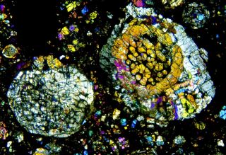 Meteorite NWA 7859 - L3 Chondrite Thin Section microscope slide 3