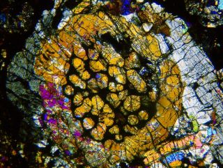 Meteorite NWA 7859 - L3 Chondrite Thin Section microscope slide 4
