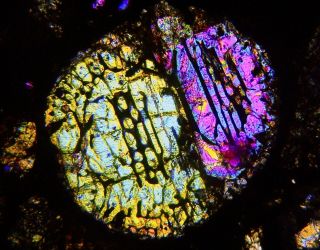 Meteorite NWA 7859 - L3 Chondrite Thin Section microscope slide 5