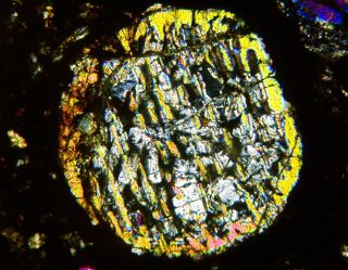 Meteorite NWA 7859 - L3 Chondrite Thin Section microscope slide 6