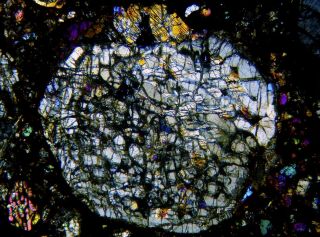 Meteorite NWA 7859 - L3 Chondrite Thin Section microscope slide 8