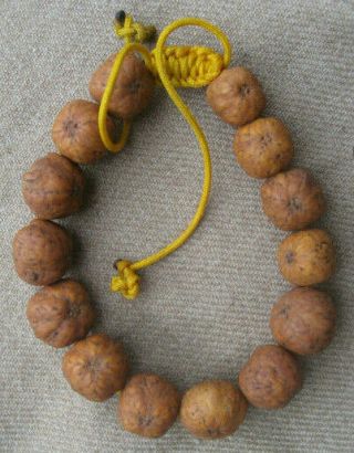 14 beads 4 Eye Natural Bodhi Seed Tibetan Buddist Mala,  Nepal 5