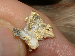 Gold Quartz Specimen California Gold Nugget 1.  4 Grams Natural Gold In Quartz
