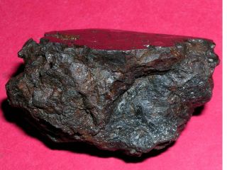 Sericho pallasite meteorite - 86.  7 gram polished end cut 2
