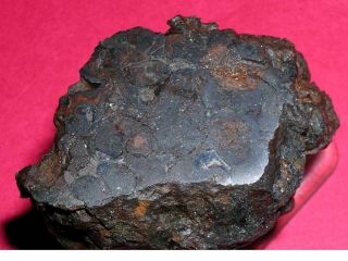 Sericho pallasite meteorite - 86.  7 gram polished end cut 4