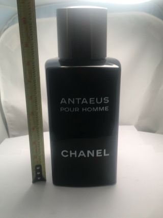 Chanel Antaeus Vinatage Factice Large Display Bottle Rare 10.  5”x 4”