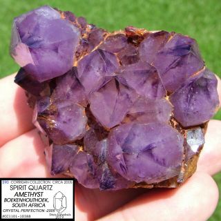 Killer Amethyst Spirit Quartz Crystal South Africa Cluster Phantoms 10388