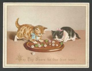B60 - Kittens Playing With A Solitaire Board - Victorian Xmas Card