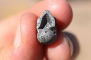 Gibeon Meteorite Skull 4.  8 grams ETCH 4
